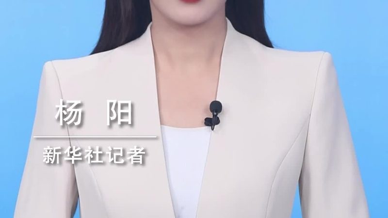 企业数据集成新趋势：ELT工具定制开发服务的价值与挑战